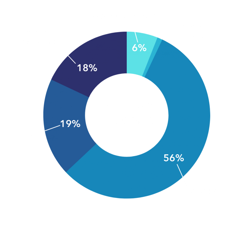 Lifestyle Spending Account (LSA) – Flexible Employee Benefits